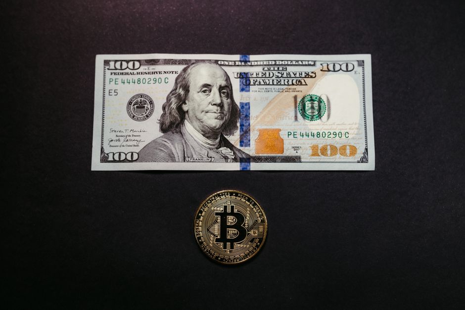 Fidelity vs Vanguard for beginners